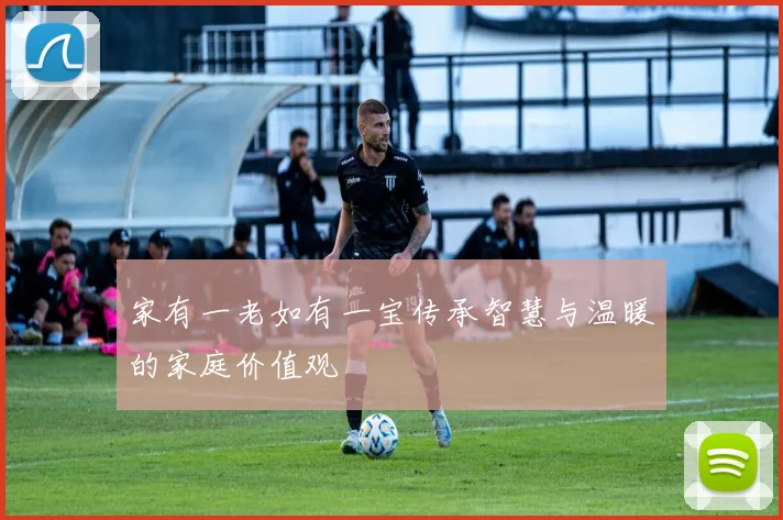 家有一老如有一宝传承智慧与温暖的家庭价值观